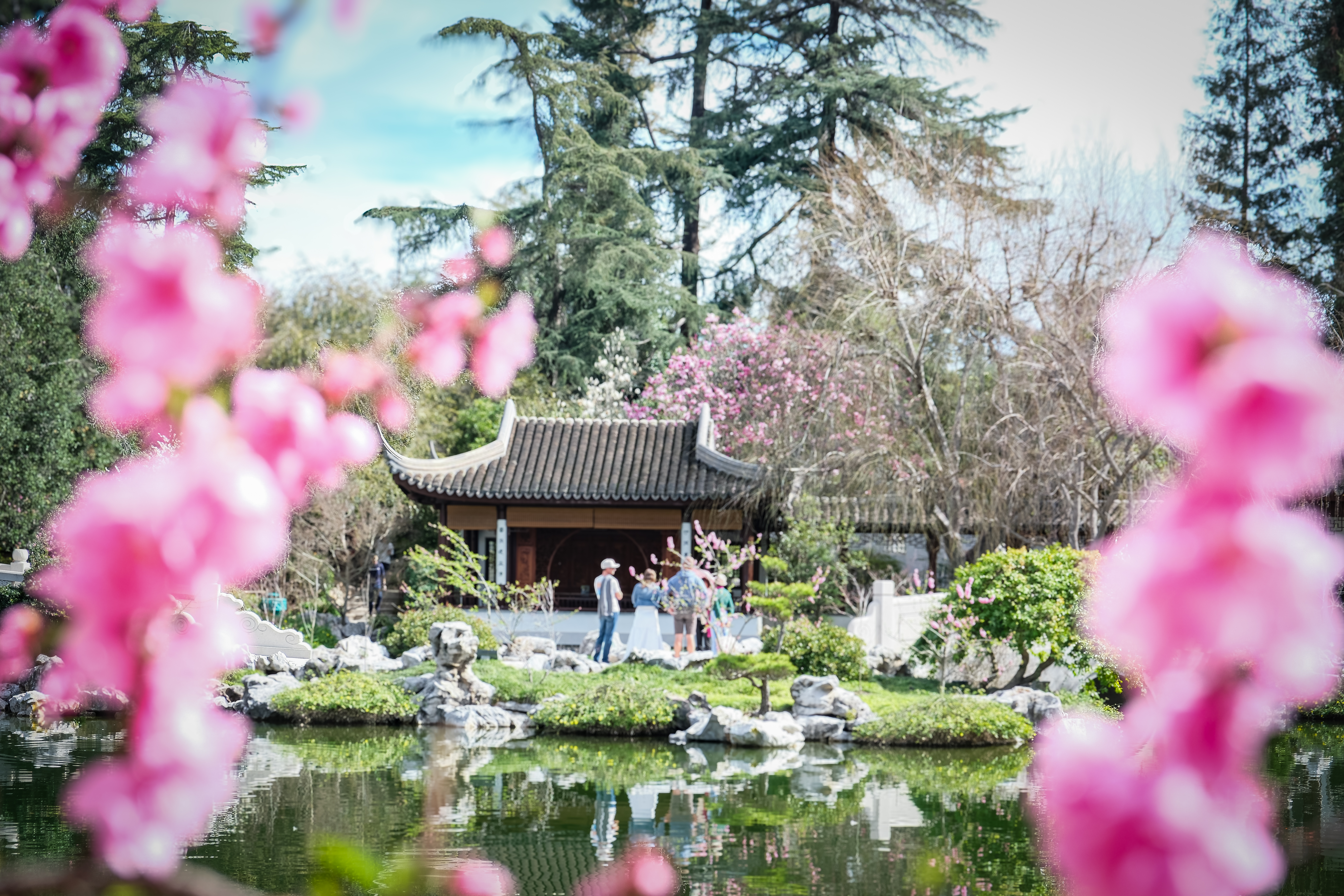 The Huntington Botanic Gardens and Library, California